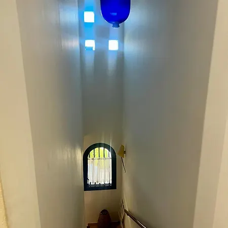 Apartment Ideal