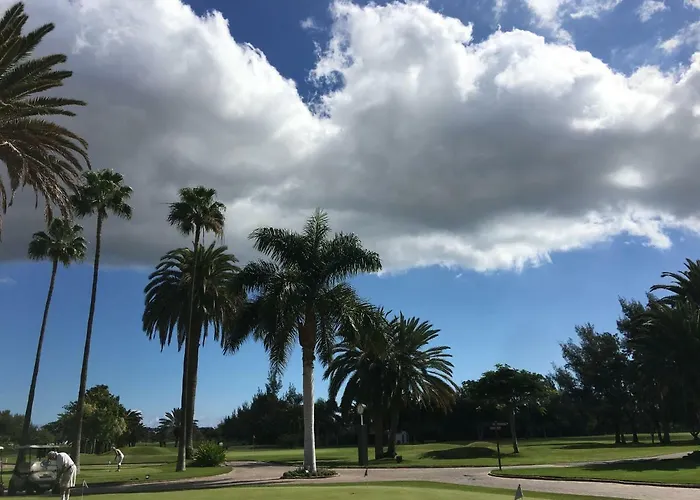 Ideal * メロネラス