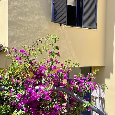 Ideal Apartament *